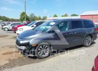 2023 Honda ODYSSEY photo