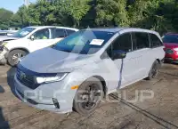 2023 Honda ODYSSEY фото