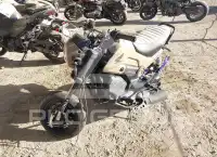 2023 Honda NAVI photo