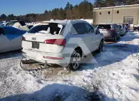 2023 Audi Q5 фото