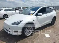 2023 Tesla Model Y photo
