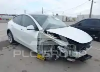 2023 Tesla Model Y фото