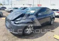 2023 Tesla Model Y фото