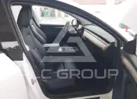 2023 Tesla Model Y photo
