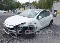 2023 Tesla Model Y photo