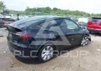 2023 Tesla Model Y photo