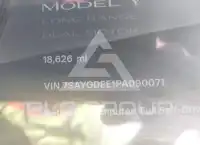 2023 Tesla Model Y photo