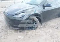 2023 Tesla Model Y photo