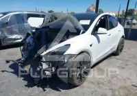 2023 Tesla Model Y фото