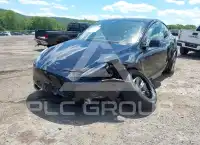 2023 Tesla Model Y фото