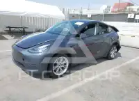 2023 Tesla Model Y photo
