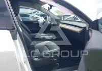 2023 Tesla Model Y photo