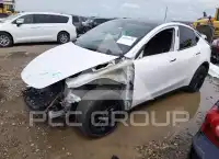 2023 Tesla Model Y photo