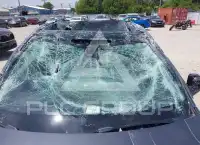 2023 Tesla Model Y фото