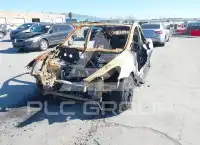 2023 Tesla Model Y photo