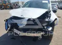 2023 Tesla Model Y фото