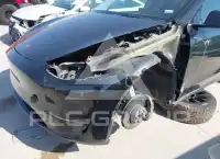 2023 Tesla Model Y фото