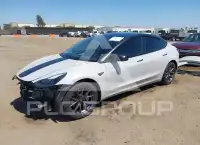 2023 Tesla Model 3 фото