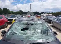 2023 Tesla Model 3 photo
