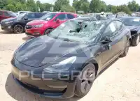 2023 Tesla Model 3 photo
