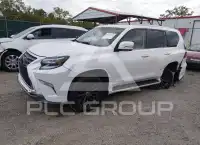 2023 Lexus GX460 фото