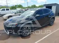 2023 Lexus UX250 photo