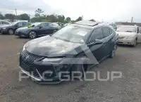 2023 Lexus UX250 photo
