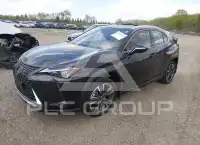 2023 Lexus UX250 фото