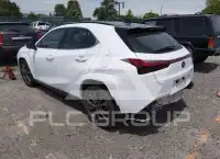 2023 Lexus UX250 фото