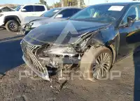 2023 Lexus ES300 фото