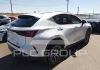 2023 Lexus NX250 фото