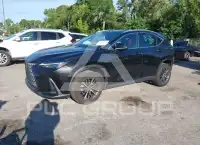 2023 Lexus NX250 фото