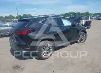 2023 Lexus NX250 фото