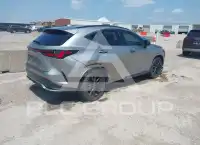 2023 Lexus NX250 фото