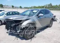 2023 Lexus NX250 фото