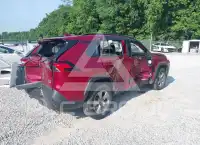 2023 Toyota RAV4 photo