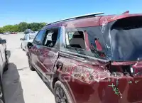 2023 KIA Carnival фото