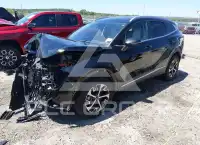 2023 KIA Sportage photo