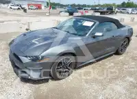 2023 Ford MUSTANG фото