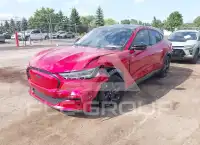 2023 Ford MUSTANG photo