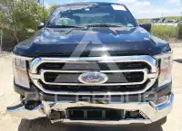 2023 Ford F-150 фото