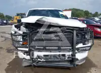 2023 Ford F-150 photo