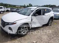 2023 Hyundai Tucson photo