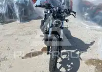 2024 Harley-Davidson  фото