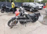 2024 Harley-Davidson  photo