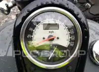 2024 Kawasaki VN900 фото
