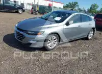 2024 Chevrolet Malibu photo