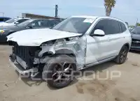 2024 BMW X3 фото