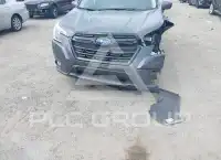 2024 Subaru Forester фото