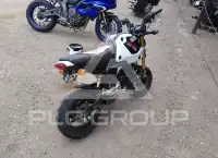 2024 Honda GROM photo